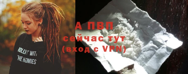 соль ск Бикин