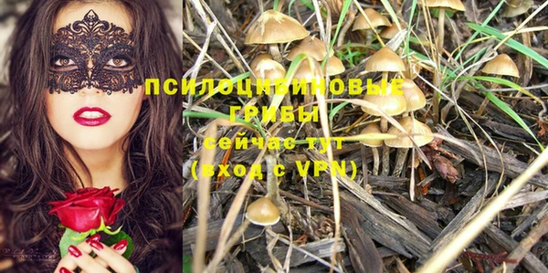 прущая мука Беслан