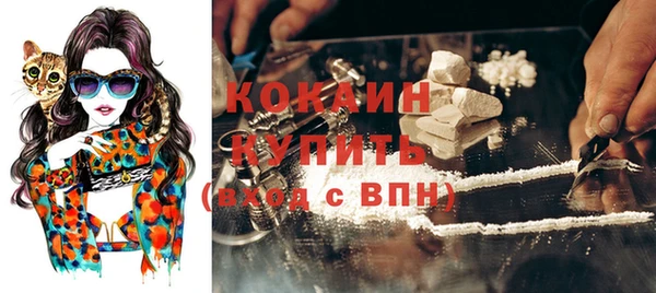 тгк Алексин