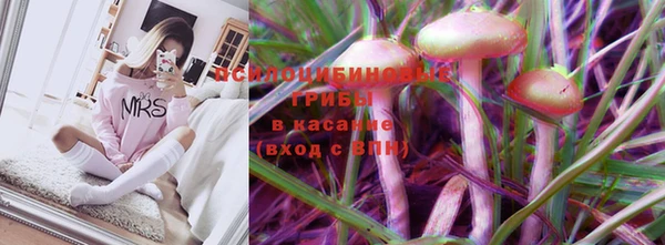 тгк Алексин