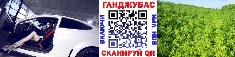 где купить наркоту  Тотьма  Каннабис марихуана 